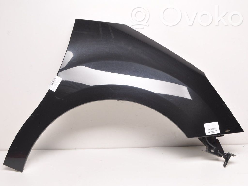 Front mudguard