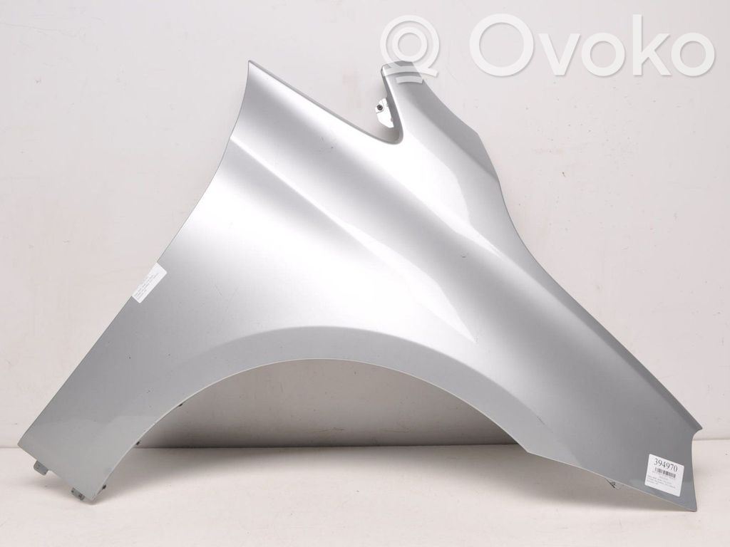 Front mudguard