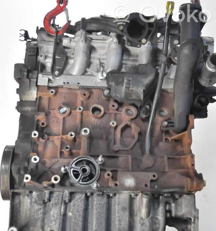 Ford Focus Dzinēja komplekts 