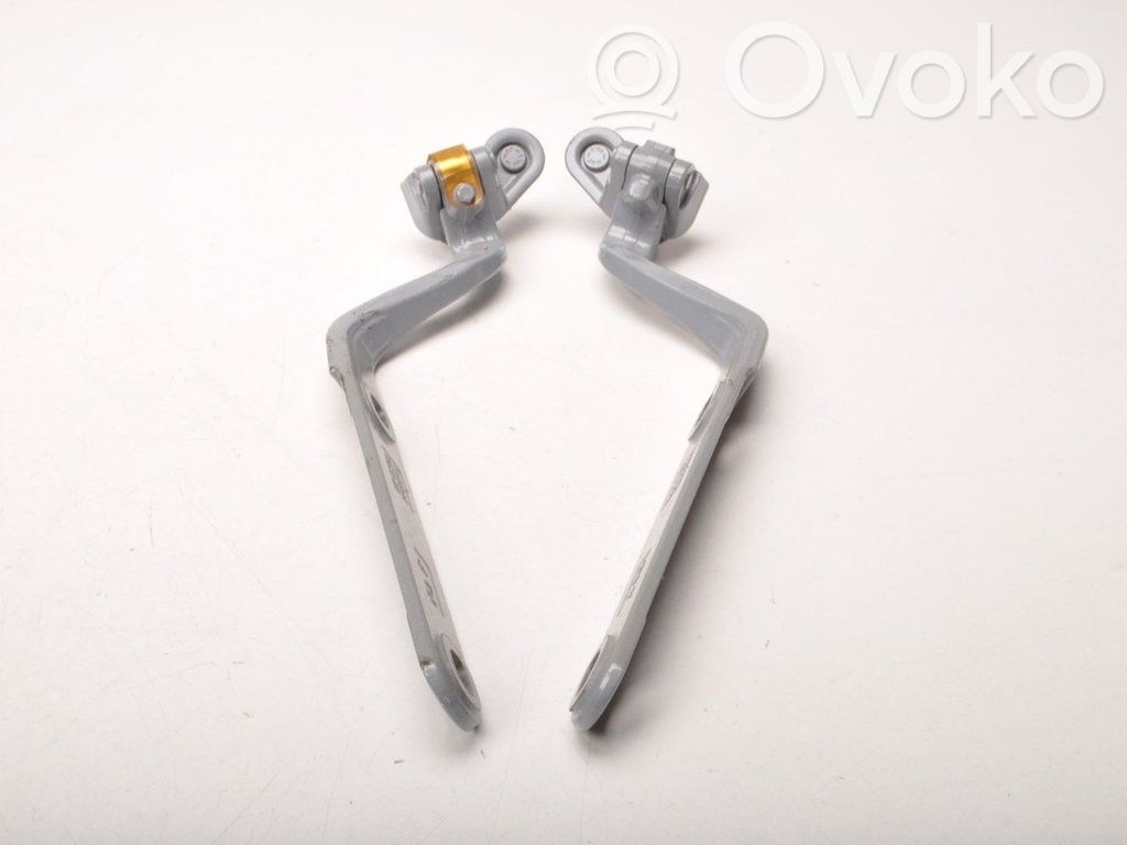 Tailgate hinge   7487564,7487563