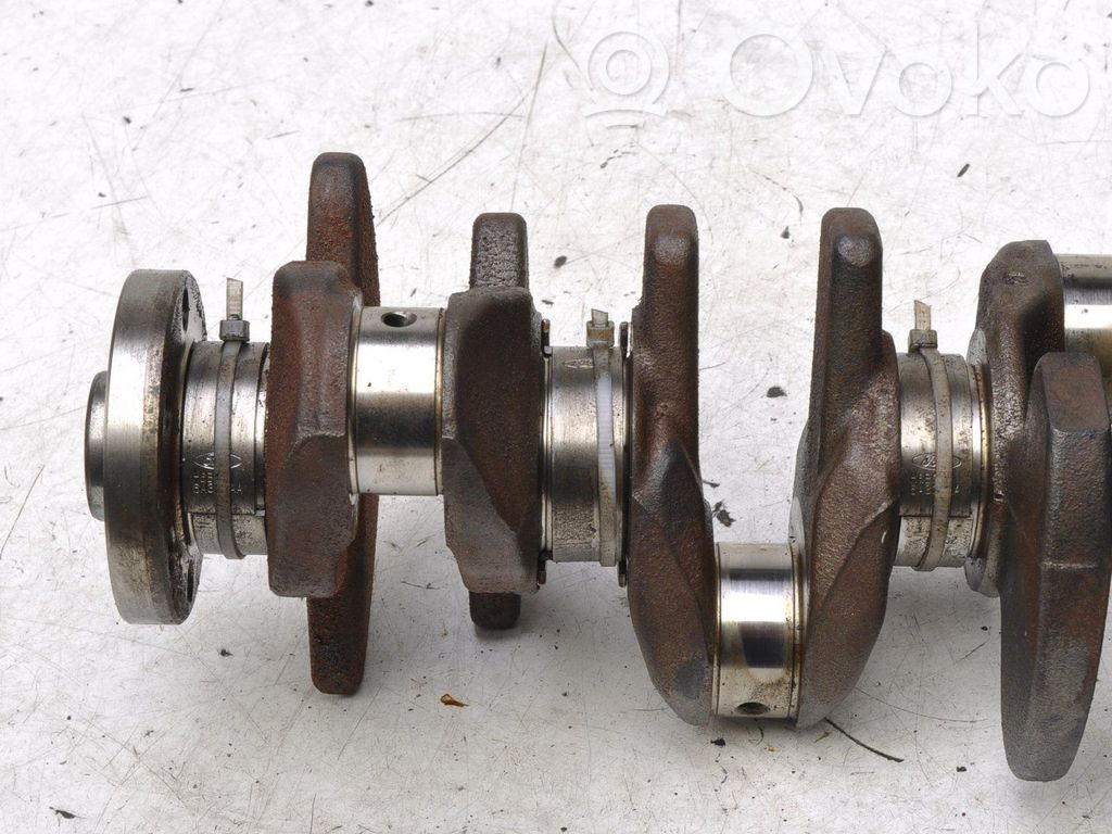Kampiakseli   H6BG6303