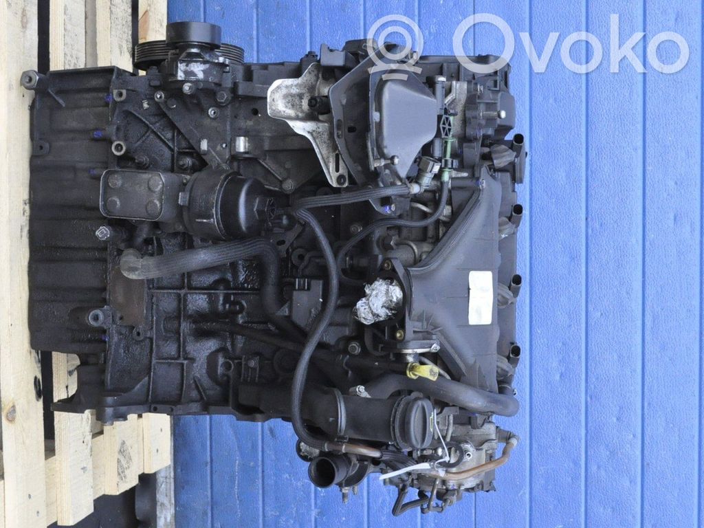 Ford Focus Variklio komplektas 