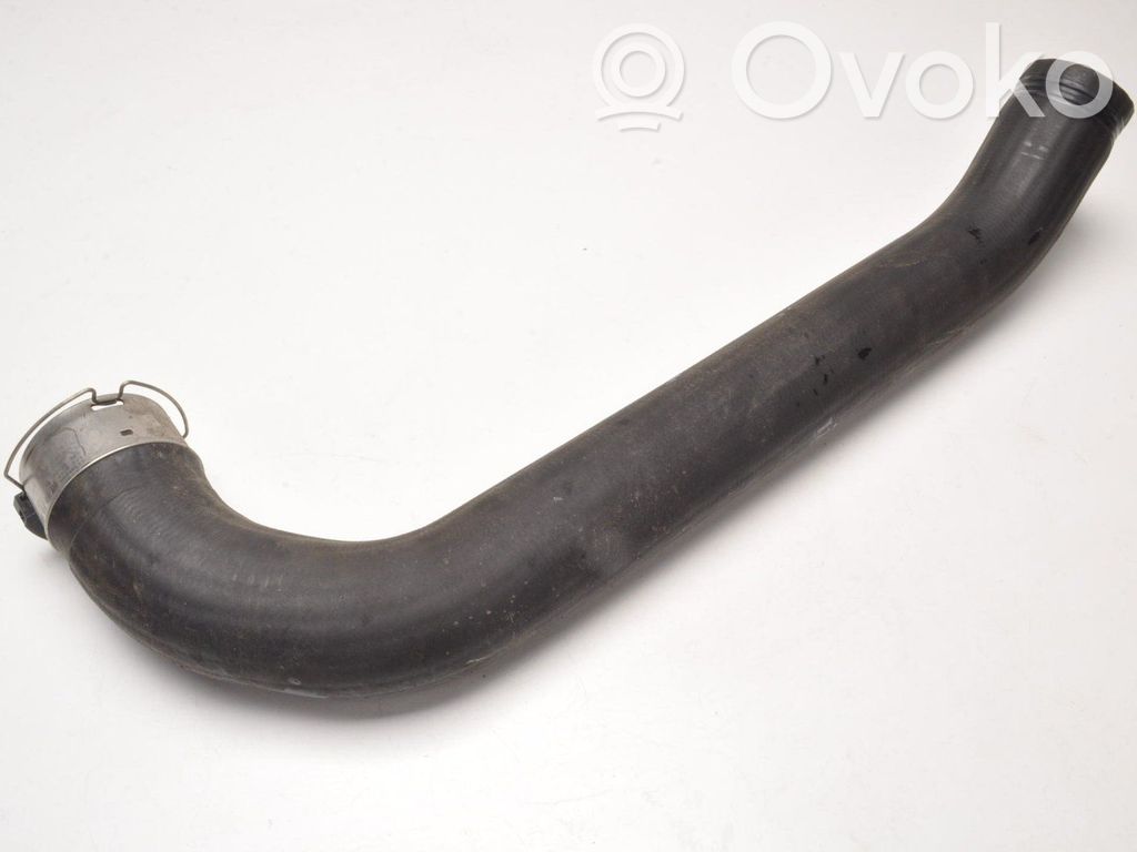Ford Focus Šļūtene (-es) / caurule (-es) 