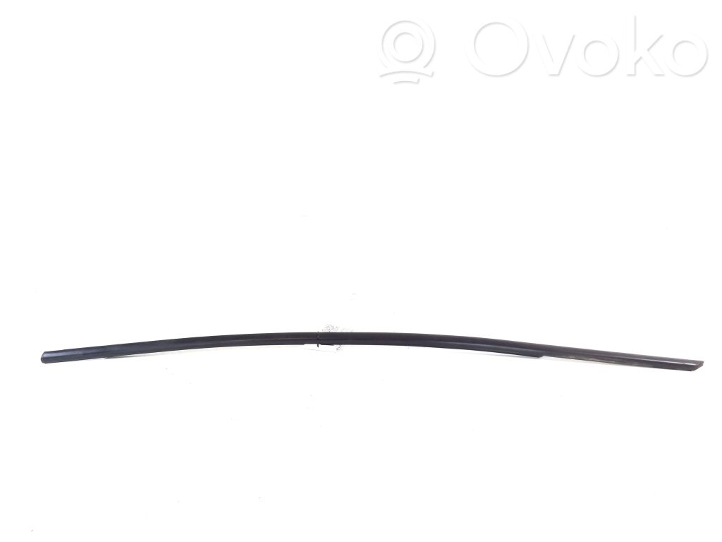 BMW 3 F30 F35 F31 Ornament geam ușă față 