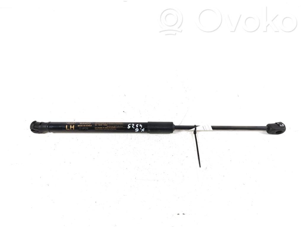 KIA Niro Tailgate strut 
