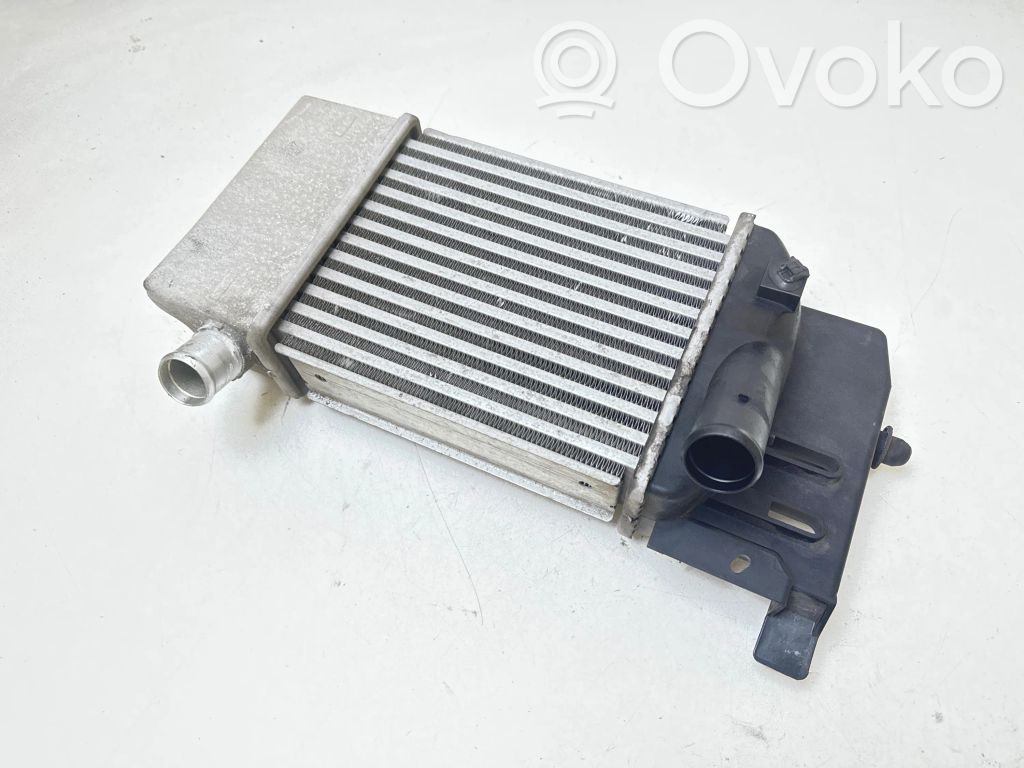 Toyota Urban Cruiser (XP110) Radiador intercooler 