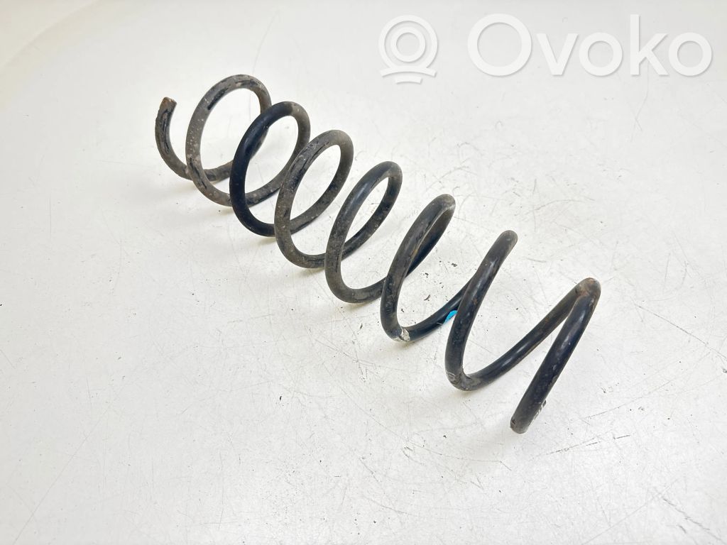 Rear coil spring