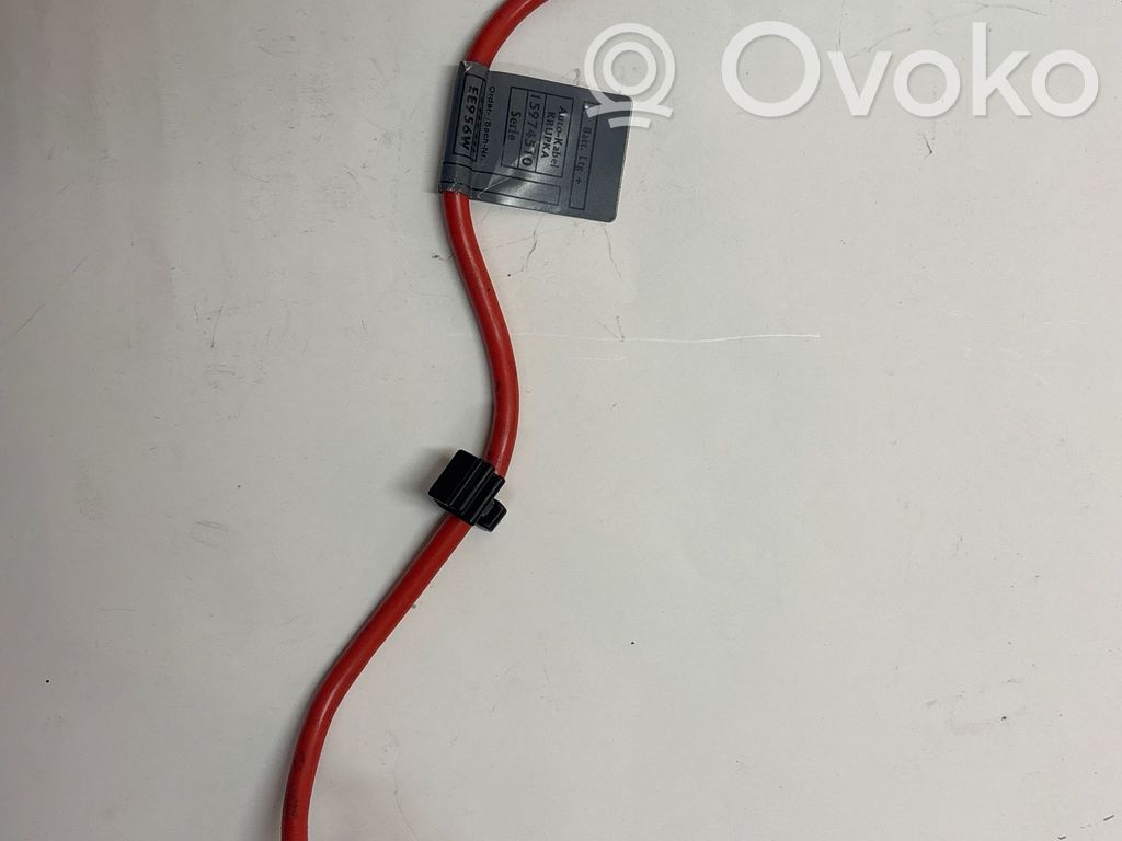 BMW 1 E82 E88 Pliusinis laidas (akumuliatoriaus) 