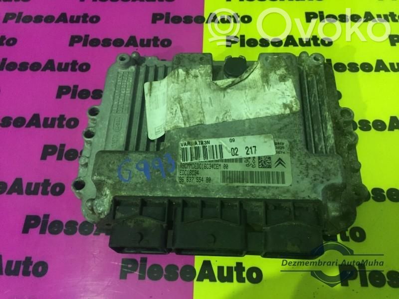 Engine control unit/module ECU   0281013868,9663755480