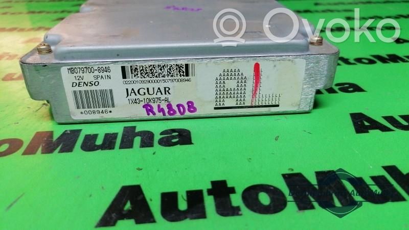 Jaguar X-Type Engine control unit/module ECU 