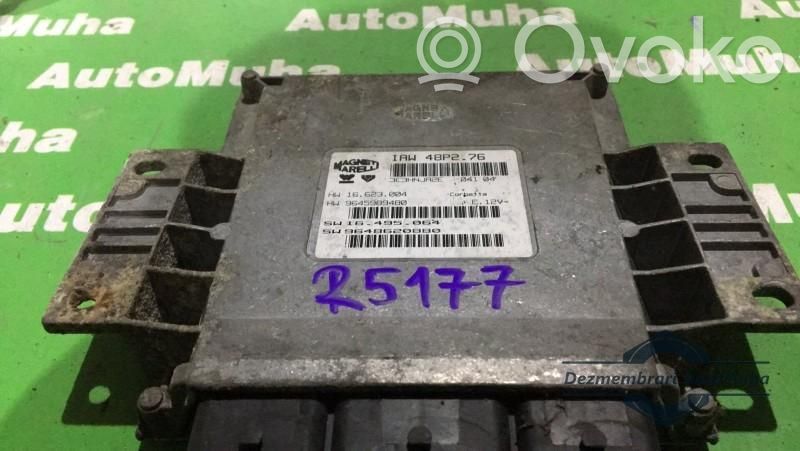 Engine control unit/module ECU   16495064,16623004,9645989480,9648620880,IAW48P276