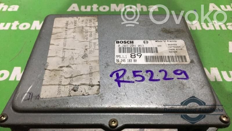 Engine control unit/module ECU   0261204063,9624518380