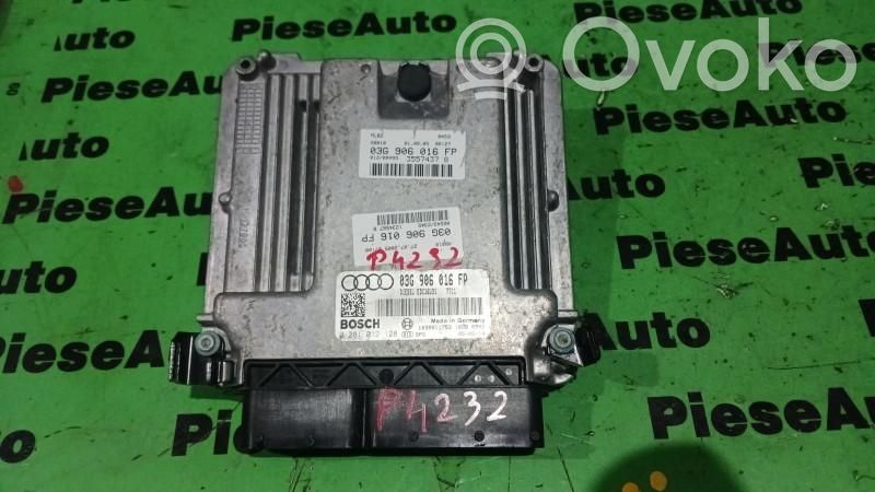 Engine control unit/module ECU   0281012128,03G906016FP