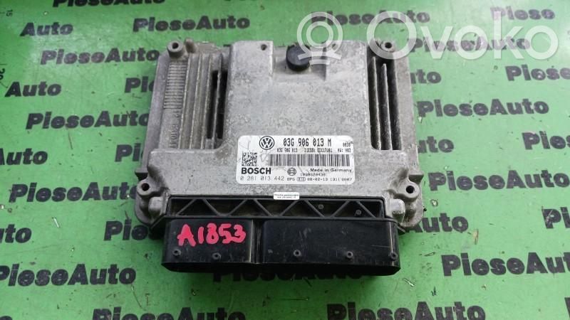 Engine control unit/module ECU   0281013442,03G906013M