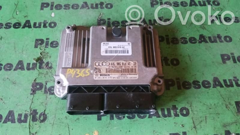 Engine control unit/module ECU   0281018375,03L906018AC