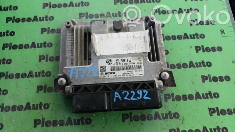Engine control unit/module ECU   0281016309,03L906018,03L9062018