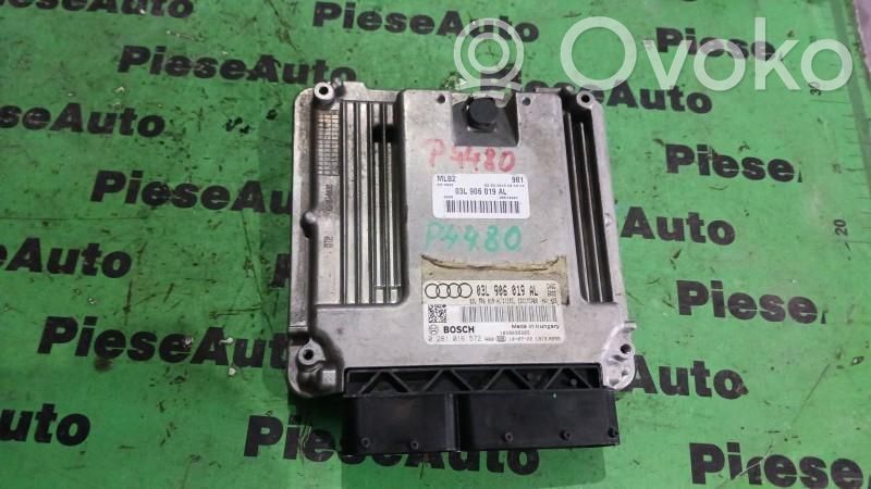 Engine control unit/module ECU   0281016572,03L906019AL