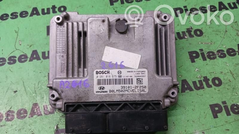 Engine control unit/module ECU   0281016675,391012F250