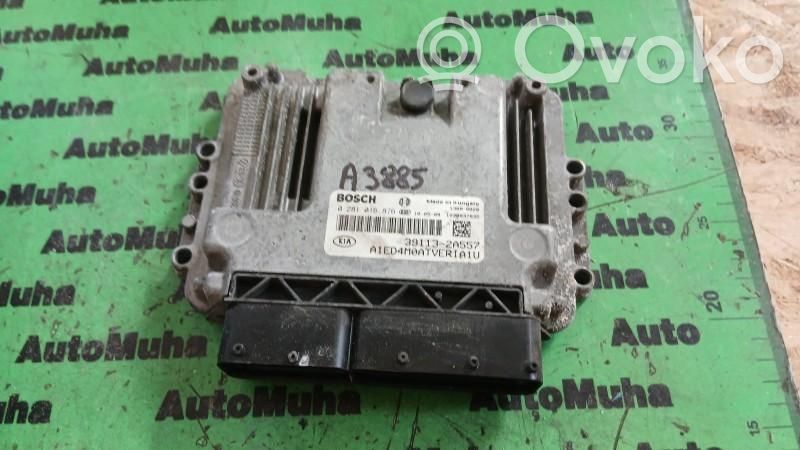 Galios (ECU) modulis   0281016876,391132A557