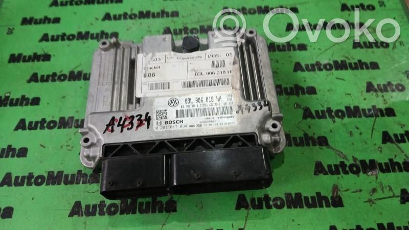 Engine control unit/module ECU   0281017094,03L906018HH