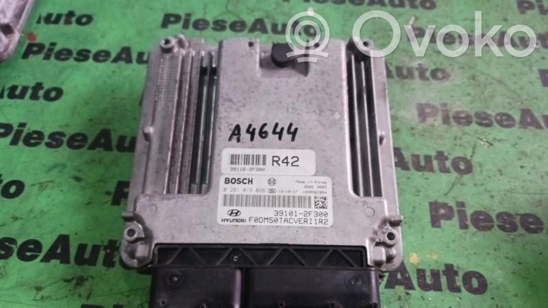 Hyundai Santa Fe Engine control unit/module ECU 