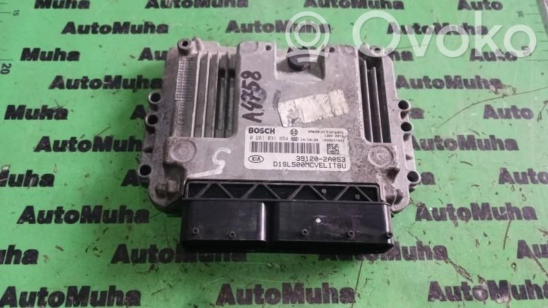 Engine control unit/module ECU   0281031654,391202A053