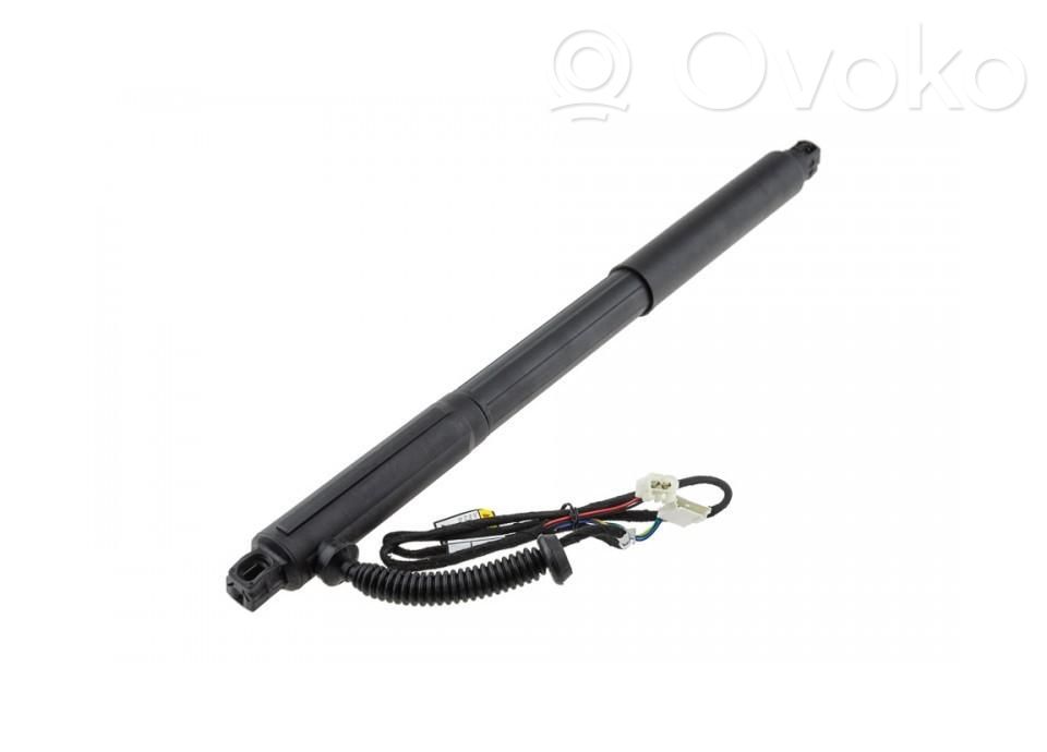 BMW X5 E70 Tailgate/trunk strut/damper 