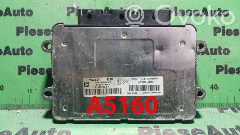 Peugeot 207 Engine control unit/module ECU 