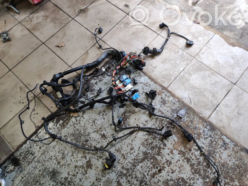 Engine installation wiring loom   53781210,8517057,BMW1251