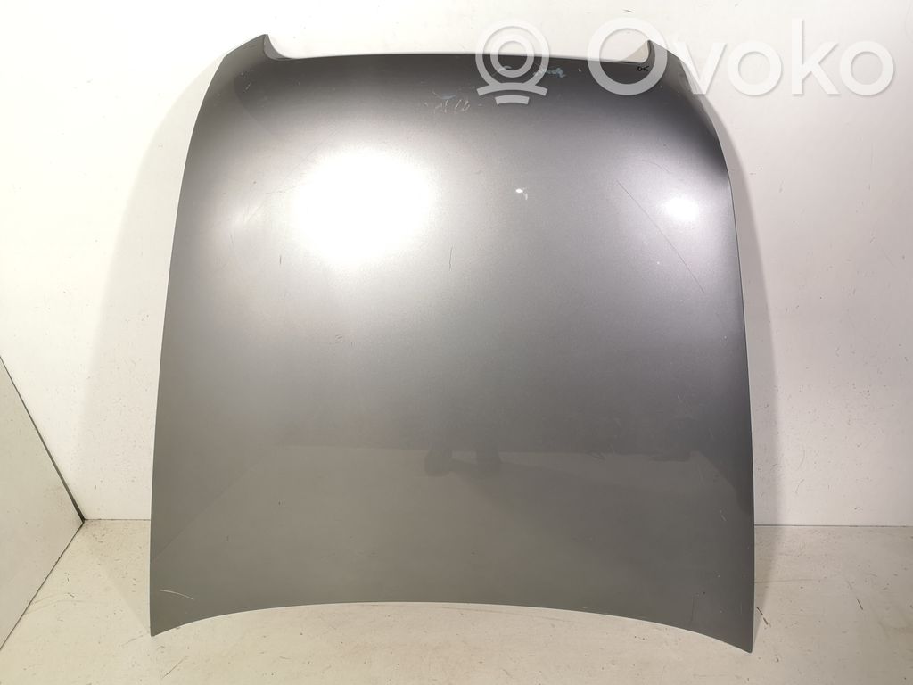 Motorhaube
