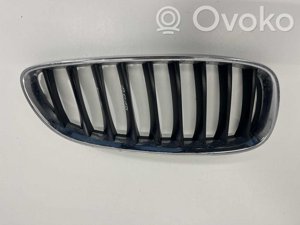 BMW Z4 E89 Grilă radiator față 