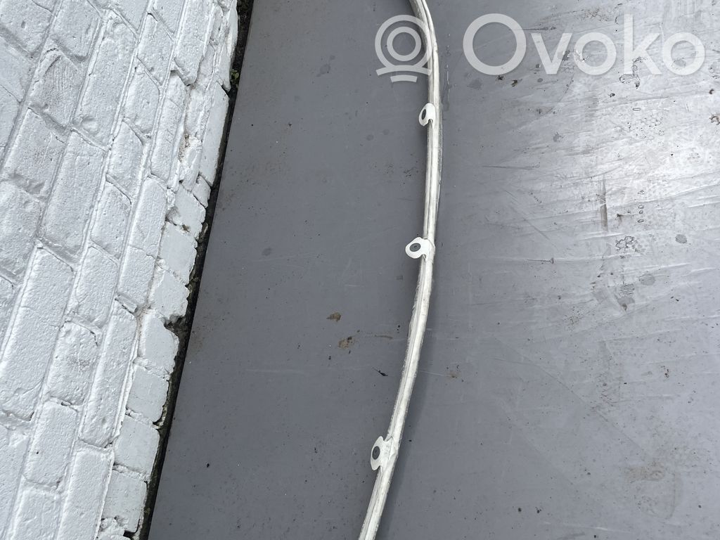 Audi A8 S8 D3 4E Jumta gaisa spilvens 