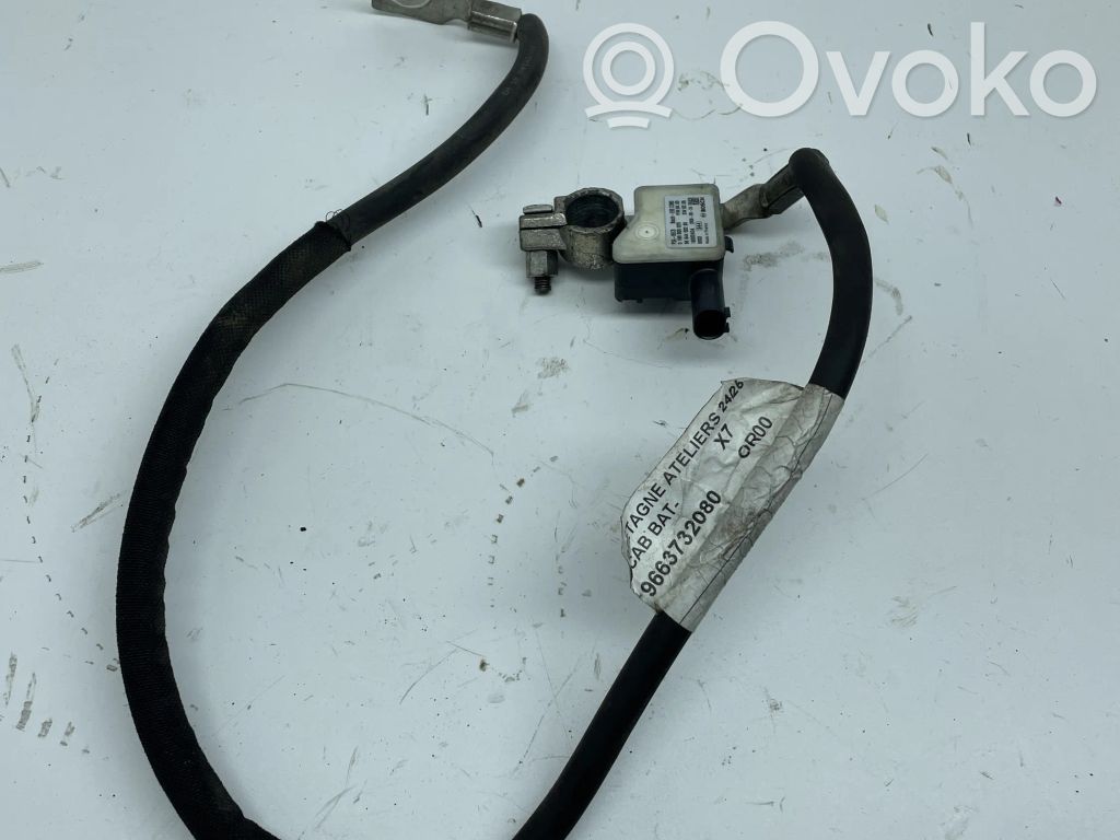 Citroen C5 Minus / Klema / Przewód akumulatora 