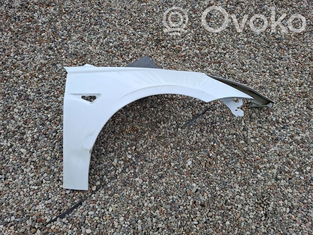 Tesla Model 3 Fender 