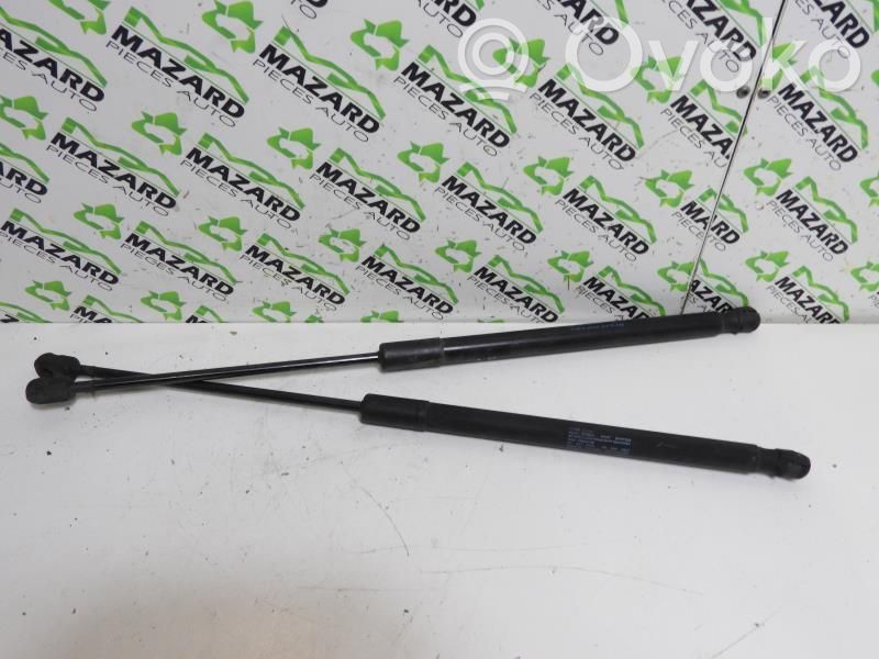 Audi A1 Tailgate/trunk strut/damper 