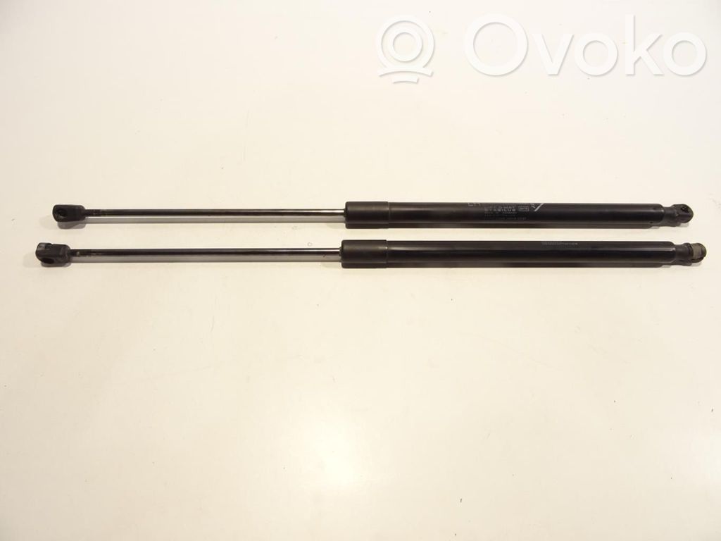 Fiat Tipo Tailgate/trunk strut/damper 