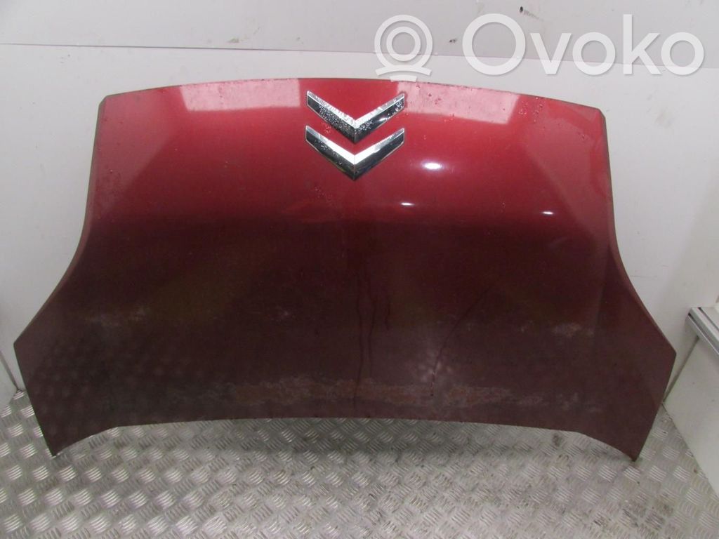 Konepelti   7901Q1