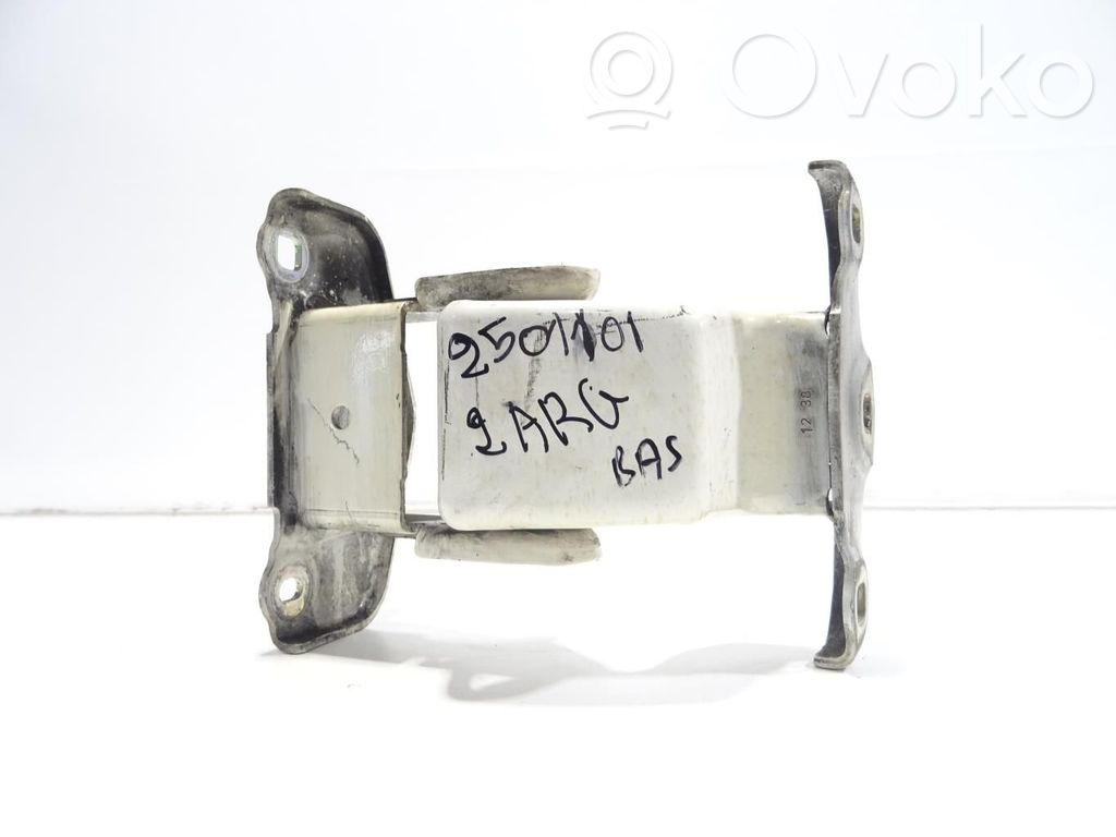Renault Trafic II (X83) Tailgate/trunk/boot hinge 