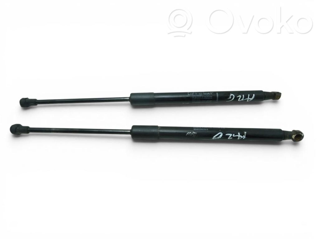 Dacia Duster Tailgate/trunk strut/damper 