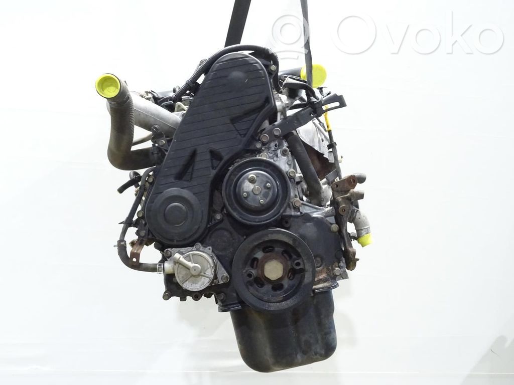 Motor