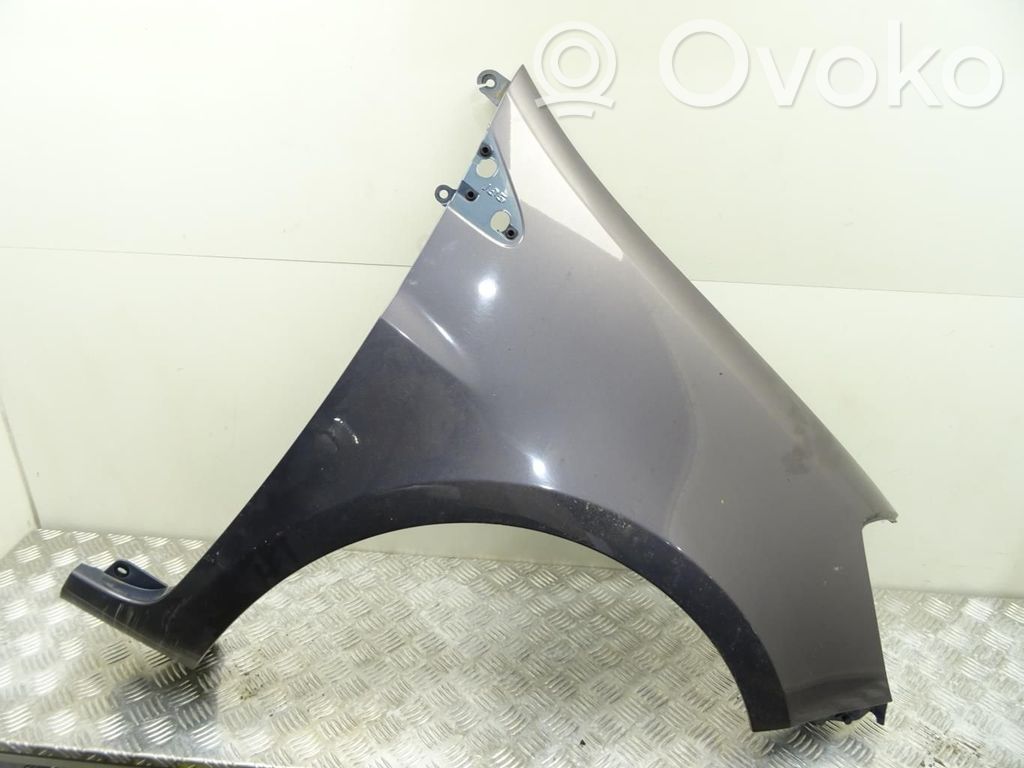 Renault Clio III Parafango 