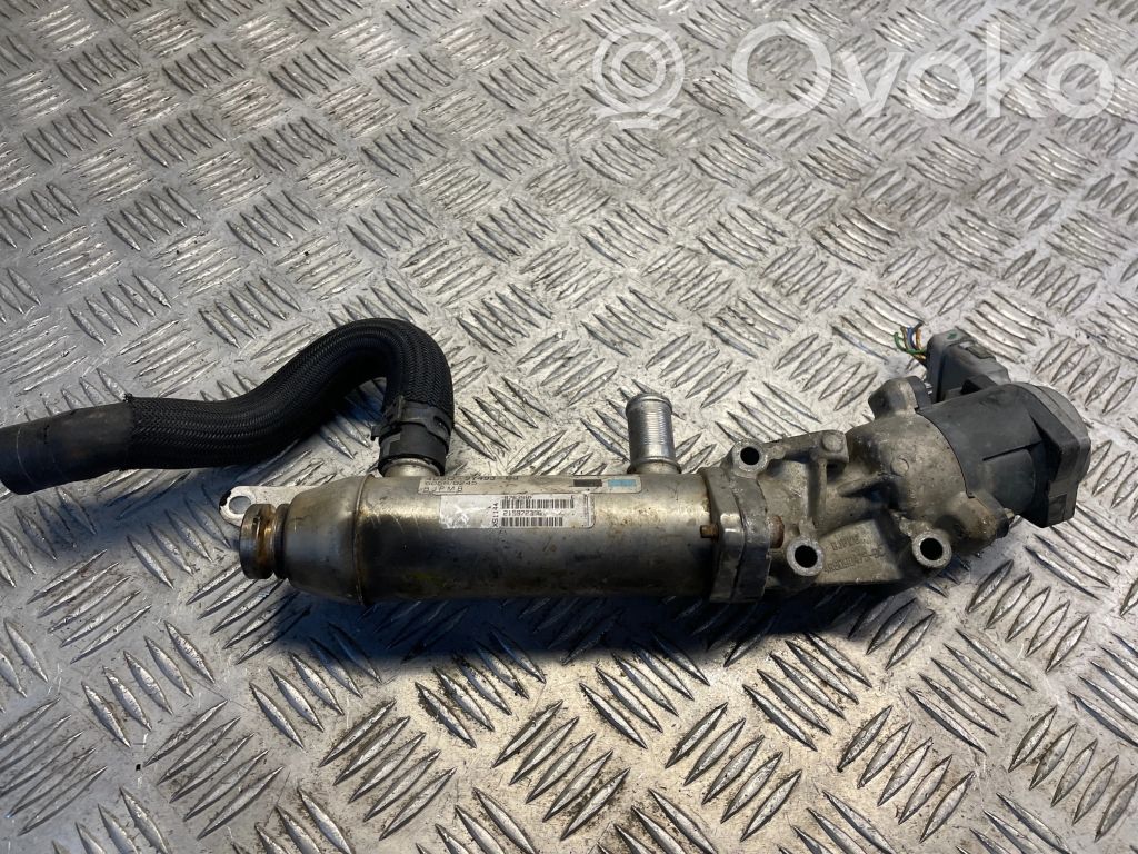 Peugeot 607 Chłodnica spalin EGR 