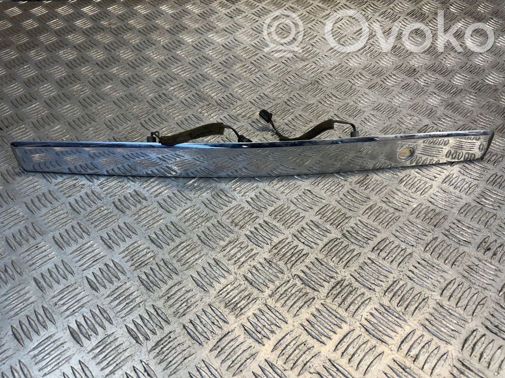 Éclairage de plaque d'immatriculation   925003E0