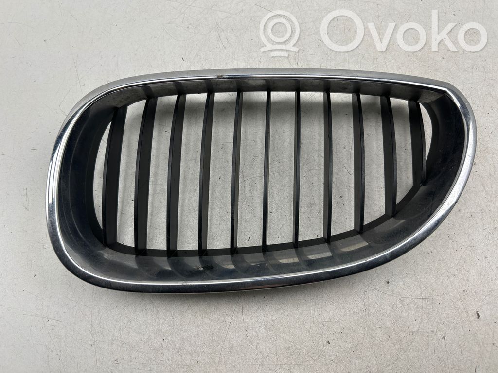 Kühlergrill   51137027065