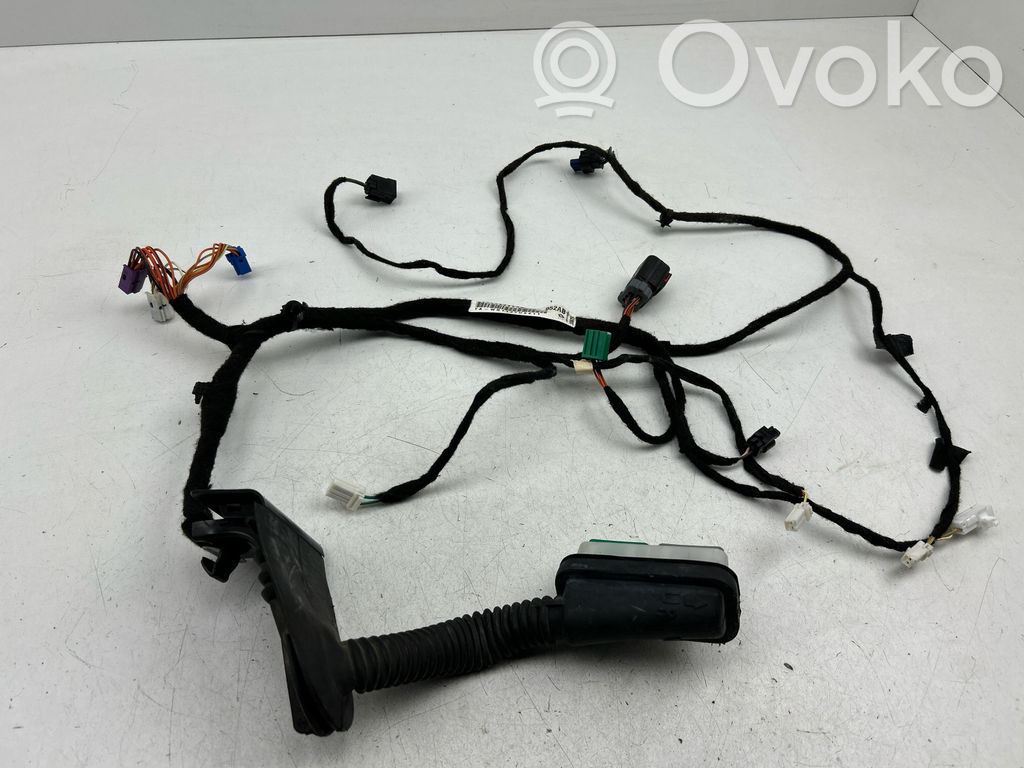 Dodge Charger Front door wiring loom 