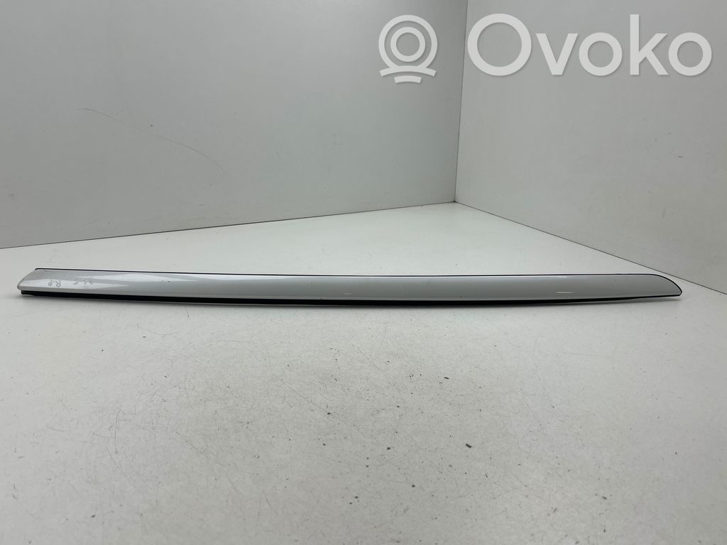 Windshield trim   9687247980