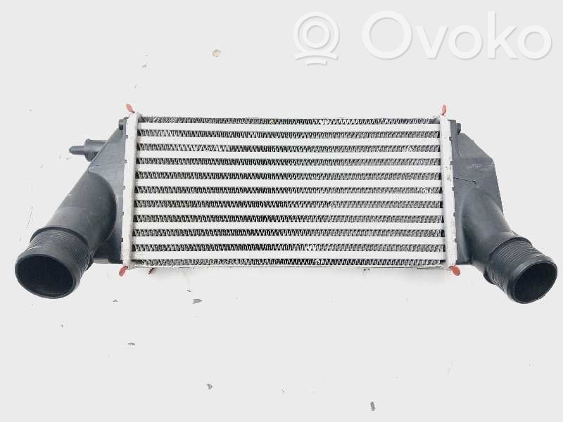 Ford Tourneo Intercooler radiator 