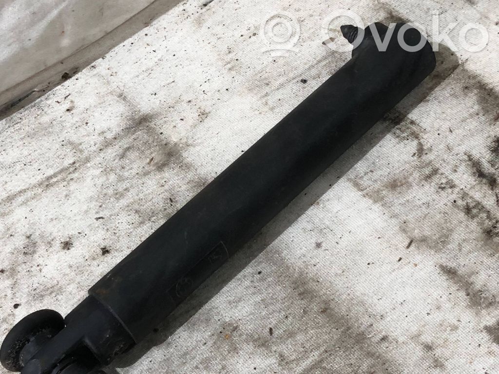 Tailgate/trunk strut/damper   7149631