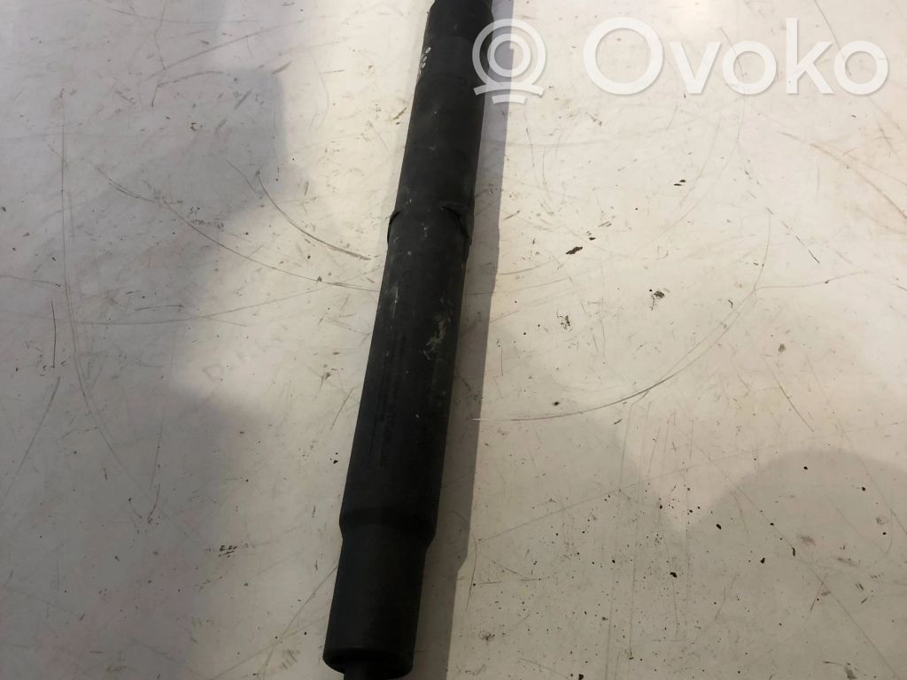 BMW X6 E71 Tailgate/trunk strut/damper 