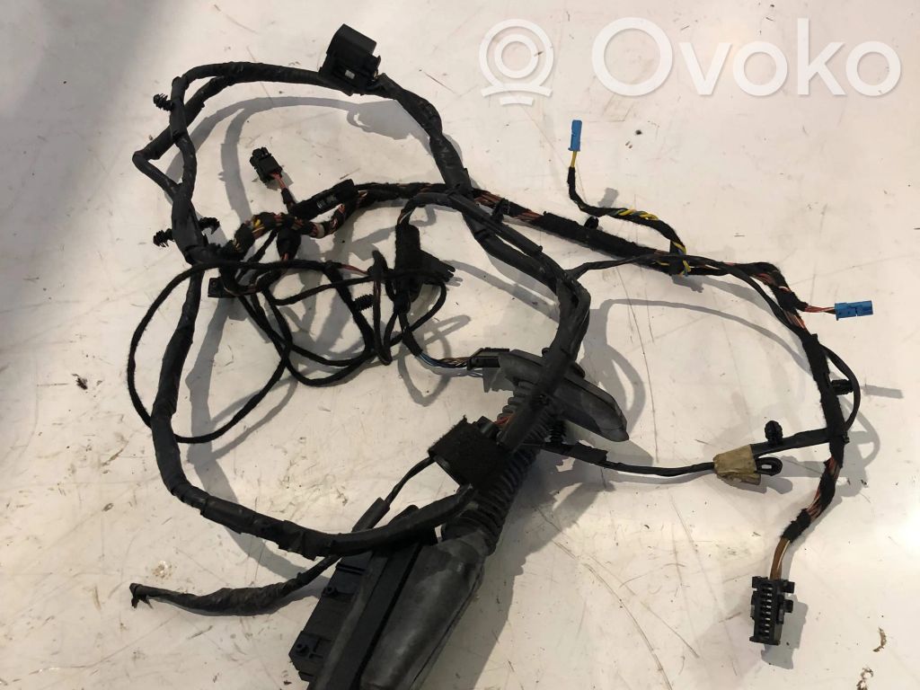 BMW X6 E71 Cableado de puerta delantera 